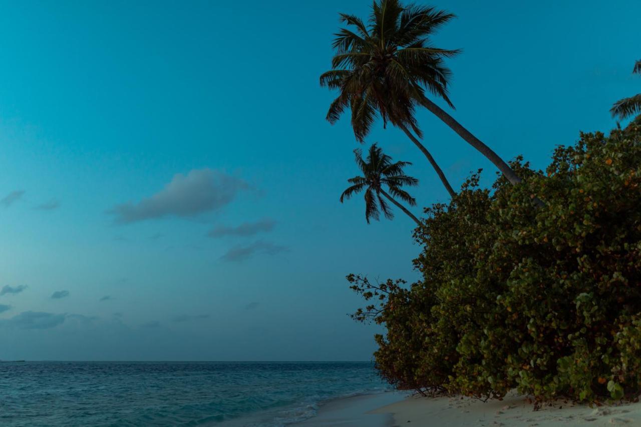 Wow Retreat Hotel Felidhoo Bagian luar foto
