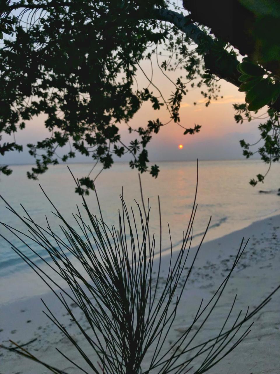 Wow Retreat Hotel Felidhoo Bagian luar foto