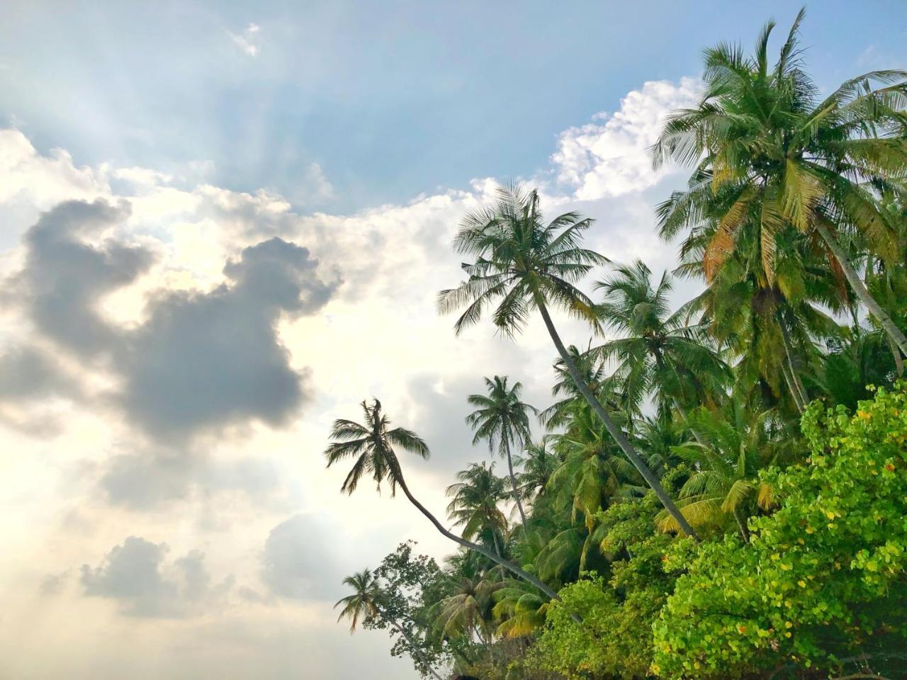 Wow Retreat Hotel Felidhoo Bagian luar foto