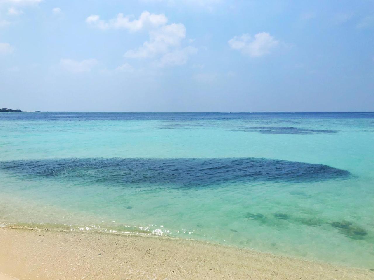Wow Retreat Hotel Felidhoo Bagian luar foto