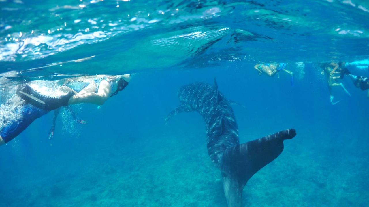 Wow Retreat Hotel Felidhoo Bagian luar foto